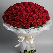 Букет 101 Красная роза Блэк Мэджик в Лесной