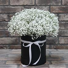 Цветочная композиция из Гипсофила в шляпной коробке в Лесной