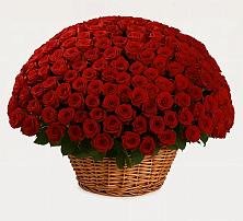 Премиум букет из: Розы в Лесной